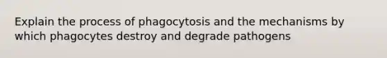 Explain the process of phagocytosis and the mechanisms by which phagocytes destroy and degrade pathogens