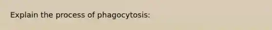 Explain the process of phagocytosis: