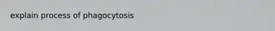 explain process of phagocytosis