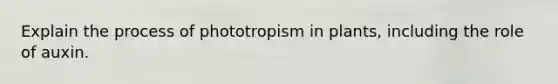 Explain the process of phototropism in plants, including the role of auxin.