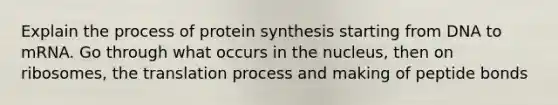 Explain the process of protein synthesis starting from DNA to mRNA. Go through what occurs in the nucleus, then on ribosomes, the translation process and making of peptide bonds