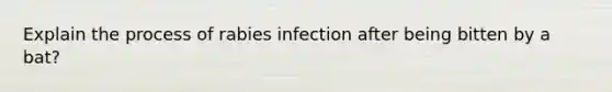 Explain the process of rabies infection after being bitten by a bat?