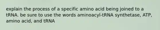 explain the process of a specific amino acid being joined to a tRNA. be sure to use the words aminoacyl-tRNA synthetase, ATP, amino acid, and tRNA