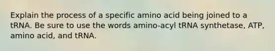 Explain the process of a specific amino acid being joined to a tRNA. Be sure to use the words amino-acyl tRNA synthetase, ATP, amino acid, and tRNA.