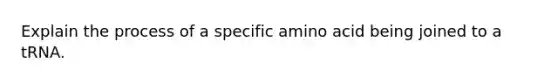 Explain the process of a specific amino acid being joined to a tRNA.