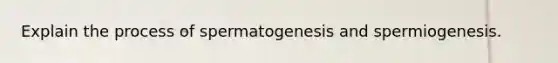 Explain the process of spermatogenesis and spermiogenesis.