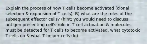 Explain the process of how T cells become activated (clonal selection & expansion of T cells). B) what are the roles of the subsequent effector cells? (hint: you would need to discuss antigen presenting cell's role in T cell activation & molecules must be detected for T cells to become activated, what cytotoxic T cells do & what T helper cells do)