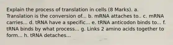 Explain the process of translation in cells (8 Marks). a. Translation is the conversion of... b. mRNA attaches to.. c. mRNA carries... d. tRNA have a specific... e. tRNA anticodon binds to... f. tRNA binds by what process... g. Links 2 amino acids together to form... h. tRNA detaches...