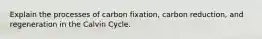 Explain the processes of carbon fixation, carbon reduction, and regeneration in the Calvin Cycle.