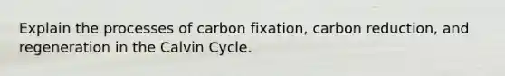 Explain the processes of carbon fixation, carbon reduction, and regeneration in the Calvin Cycle.