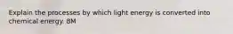 Explain the processes by which light energy is converted into chemical energy. 8M