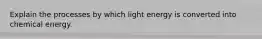 Explain the processes by which light energy is converted into chemical energy.