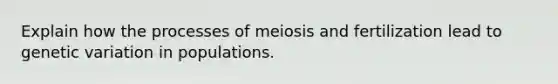 Explain how the processes of meiosis and fertilization lead to genetic variation in populations.