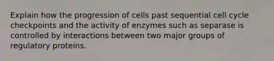 Explain how the progression of cells past sequential cell cycle checkpoints and the activity of enzymes such as separase is controlled by interactions between two major groups of regulatory proteins.