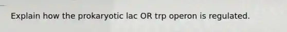 Explain how the prokaryotic lac OR trp operon is regulated.