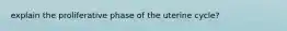 explain the proliferative phase of the uterine cycle?