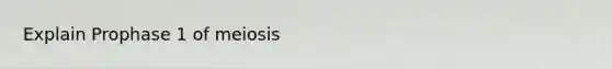 Explain Prophase 1 of meiosis