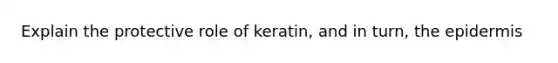 Explain the protective role of keratin, and in turn, the epidermis