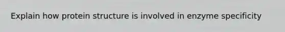 Explain how protein structure is involved in enzyme specificity