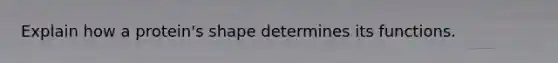 Explain how a protein's shape determines its functions.