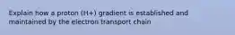 Explain how a proton (H+) gradient is established and maintained by the electron transport chain