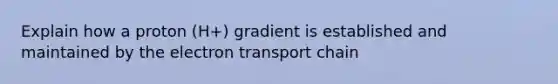 Explain how a proton (H+) gradient is established and maintained by the electron transport chain