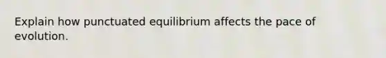 Explain how punctuated equilibrium affects the pace of evolution.