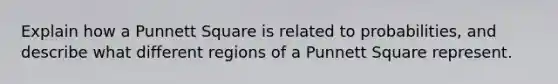 Explain how a Punnett Square is related to probabilities, and describe what different regions of a Punnett Square represent.