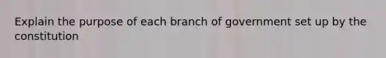 Explain the purpose of each branch of government set up by the constitution