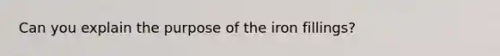 Can you explain the purpose of the iron fillings?