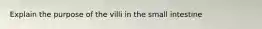 Explain the purpose of the villi in the small intestine