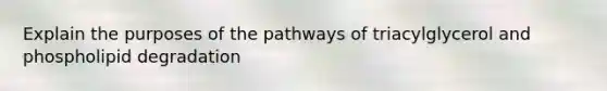 Explain the purposes of the pathways of triacylglycerol and phospholipid degradation