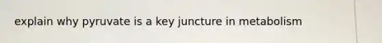 explain why pyruvate is a key juncture in metabolism