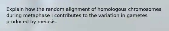 Explain how the random alignment of homologous chromosomes during metaphase I contributes to the variation in gametes produced by meiosis.