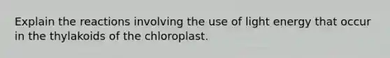 Explain the reactions involving the use of light energy that occur in the thylakoids of the chloroplast.