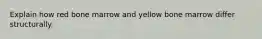 Explain how red bone marrow and yellow bone marrow differ structurally.