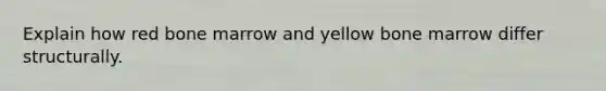 Explain how red bone marrow and yellow bone marrow differ structurally.