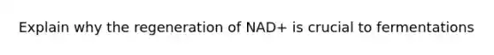 Explain why the regeneration of NAD+ is crucial to fermentations