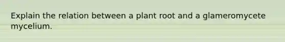 Explain the relation between a plant root and a glameromycete mycelium.