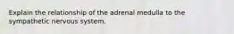 Explain the relationship of the adrenal medulla to the sympathetic nervous system.