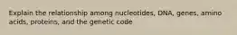 Explain the relationship among nucleotides, DNA, genes, amino acids, proteins, and the genetic code