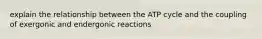 explain the relationship between the ATP cycle and the coupling of exergonic and endergonic reactions