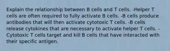 Explain the relationship between B cells and T cells. -Helper T cells are often required to fully activate B cells. -B cells produce antibodies that will then activate cytotoxic T cells. -B cells release cytokines that are necessary to activate helper T cells. -Cytotoxic T cells target and kill B cells that have interacted with their specific antigen.