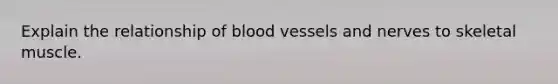 Explain the relationship of <a href='https://www.questionai.com/knowledge/kZJ3mNKN7P-blood-vessels' class='anchor-knowledge'>blood vessels</a> and nerves to skeletal muscle.