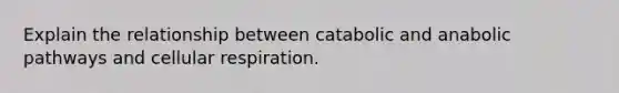 Explain the relationship between catabolic and anabolic pathways and cellular respiration.