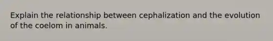 Explain the relationship between cephalization and the evolution of the coelom in animals.