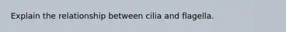 Explain the relationship between cilia and flagella.