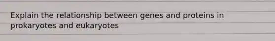 Explain the relationship between genes and proteins in prokaryotes and eukaryotes