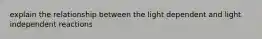 explain the relationship between the light dependent and light independent reactions