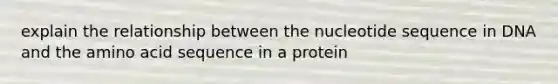 explain the relationship between the nucleotide sequence in DNA and the amino acid sequence in a protein